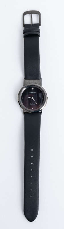 Citizen AMBILUNA Diamond and Titanium Eco-Drive Ladies Watch EG7095-13E *ONE OF 500*