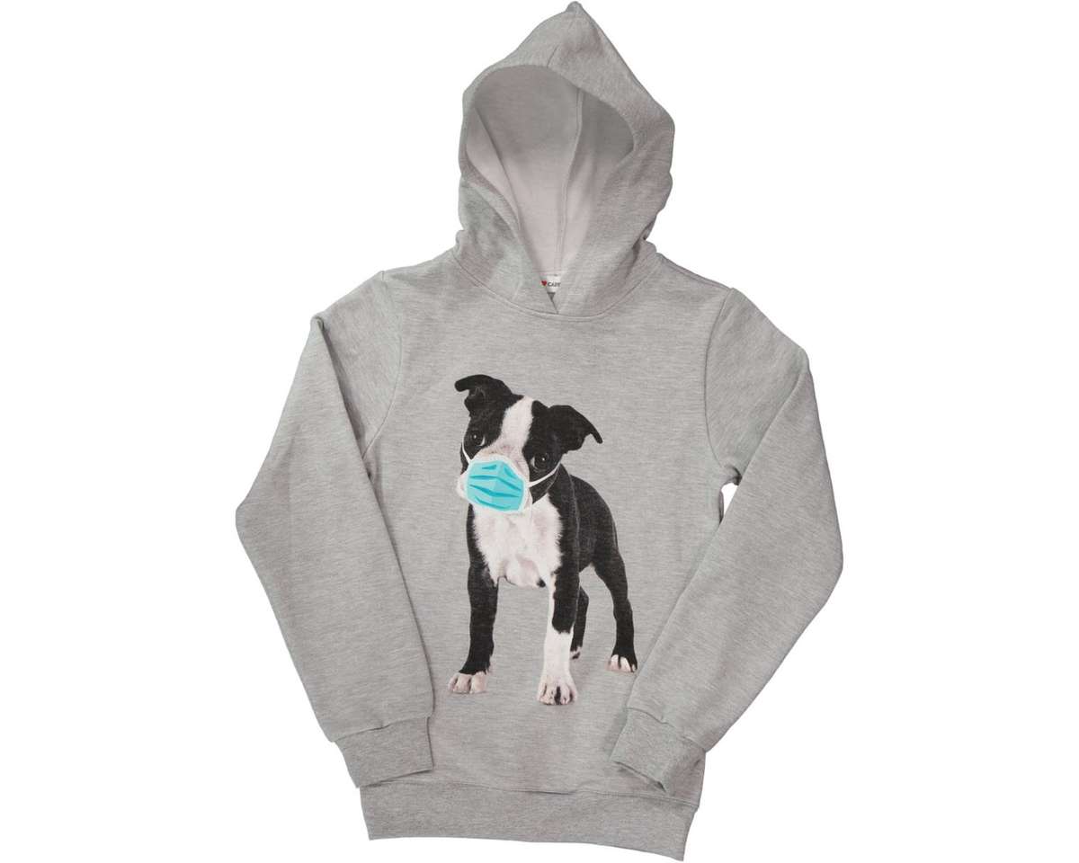Masked Boston Terrier Novelty Hoodie For Ladies