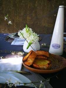 Shoo Away Fly Repellent Chemical Free - Black