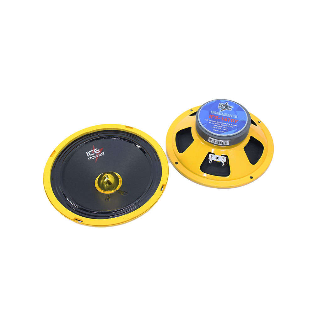 Ice Power IPS-1670 Midrange Speaker