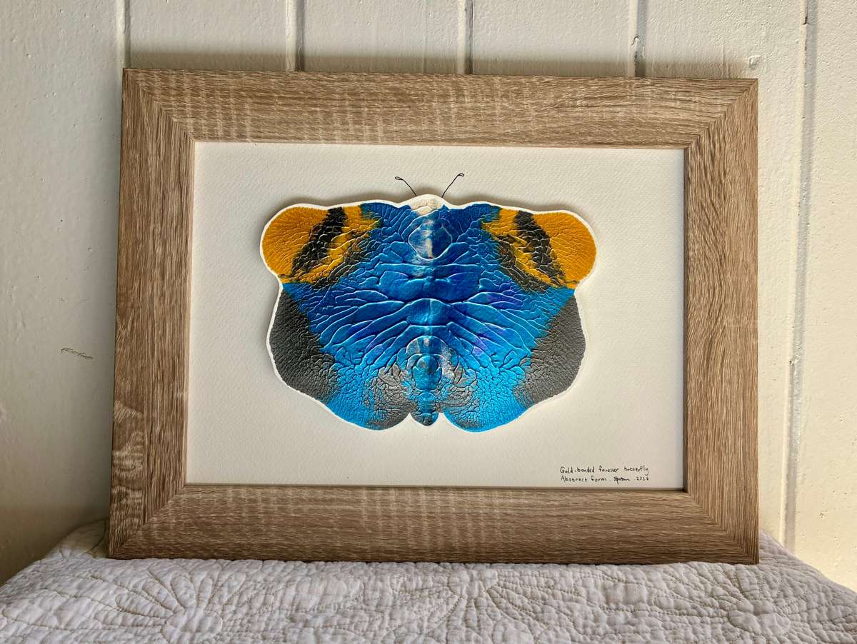 Gold-banded Forester Butterfly #2