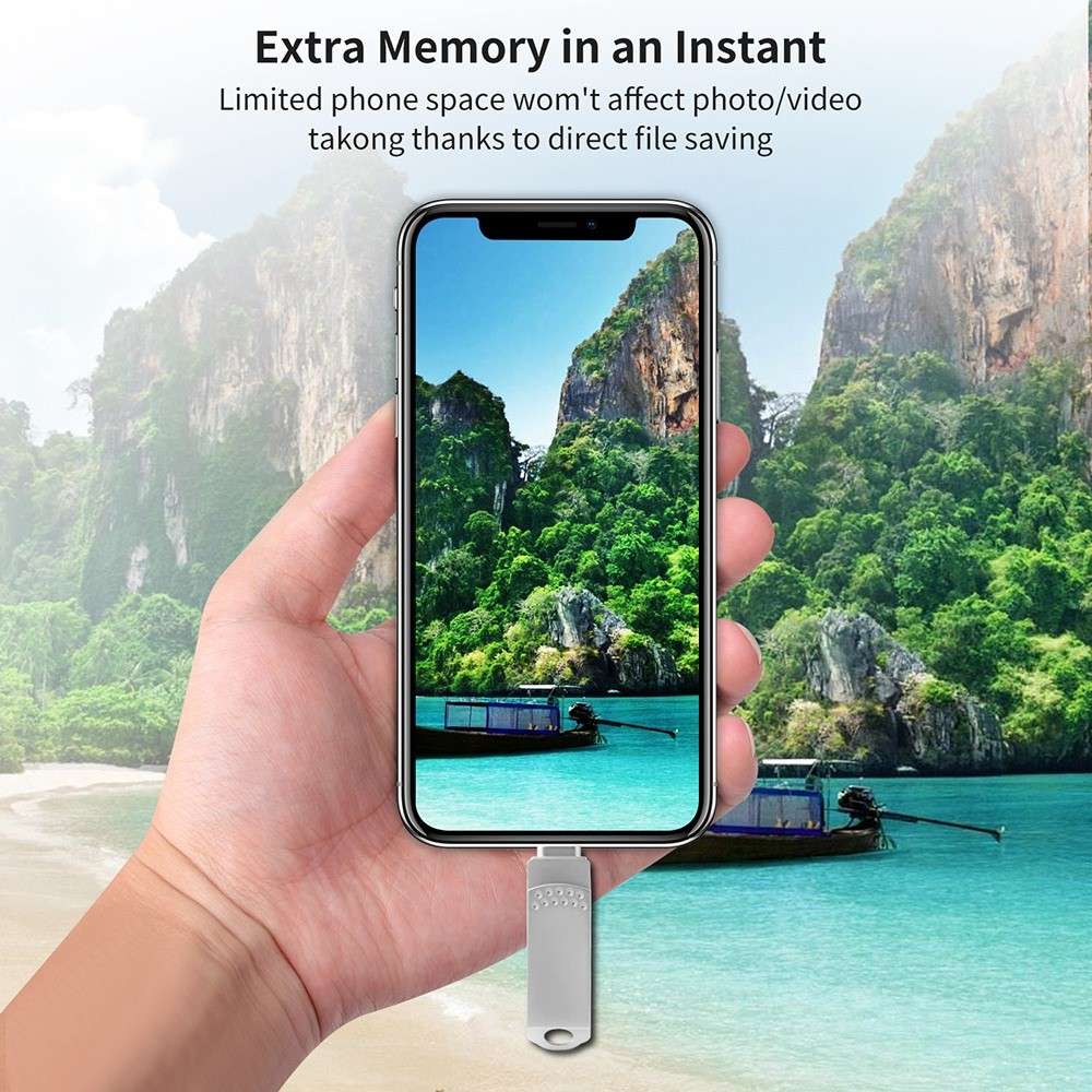 RICHWELL 256GB Large Storage Thumb Drive for iPhone Android Data Storage USB Memory Stick - Black