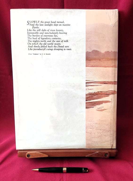 Beneath A Rhodesian Sky