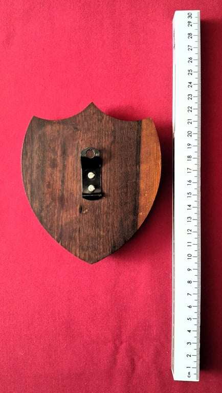 SADF Grensdiens / Border Duty Wooden Shield Plaque  SWA Map Design - SADF Grensdiens ...