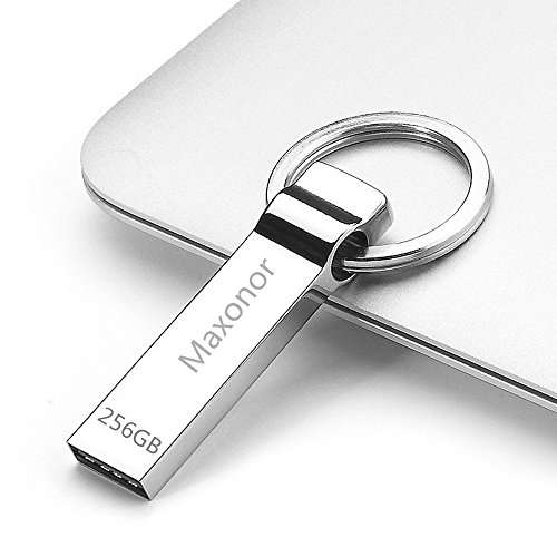 Maxonor Metal 256GB USB Flash Drive 2.0 - Silver with Key Ring (256GB)