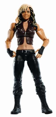 WWE Best of 2013 Kaitlyn Figure