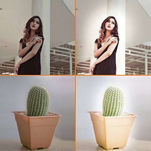 SAMTIAN Speedlite Flash Professional Electronic Camera Flash Speedlight for Canon Nikon Panasonic O