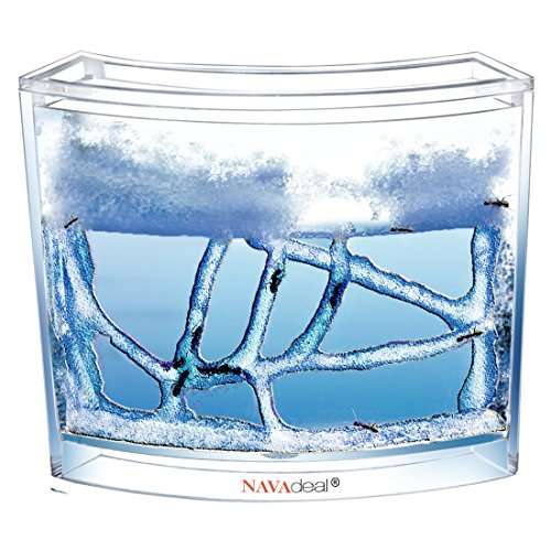 NAVAdeal Ant Artists, Ant Works Farm Castle, Live Ant Viewing Habitat, Educational Toy, Study Behav