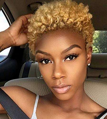 BeiSD Short Ombre Brown Wig Short Afro Kinky Curly Synthetic Wigs for Black Women Girls Hairstyles (
