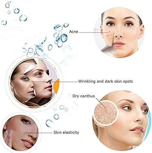 Osenjie Professional Facial Steamer