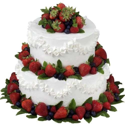 Wilton Dessert Decorator Pro Stainless Steel Cake Decorating Tool