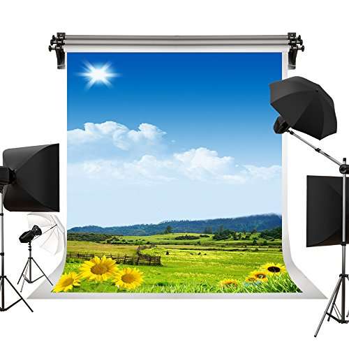 Kate Spring Backdrop Blue Sky White Clouds Backdrops Grassland Flower Backdrop for Photo Photograph