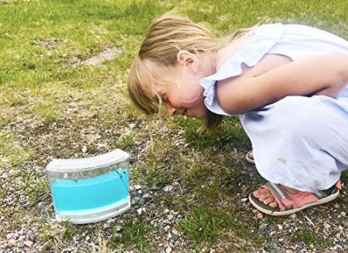 NAVAdeal Ant Artists, Ant Works Farm Castle, Live Ant Viewing Habitat, Educational Toy, Study Behav