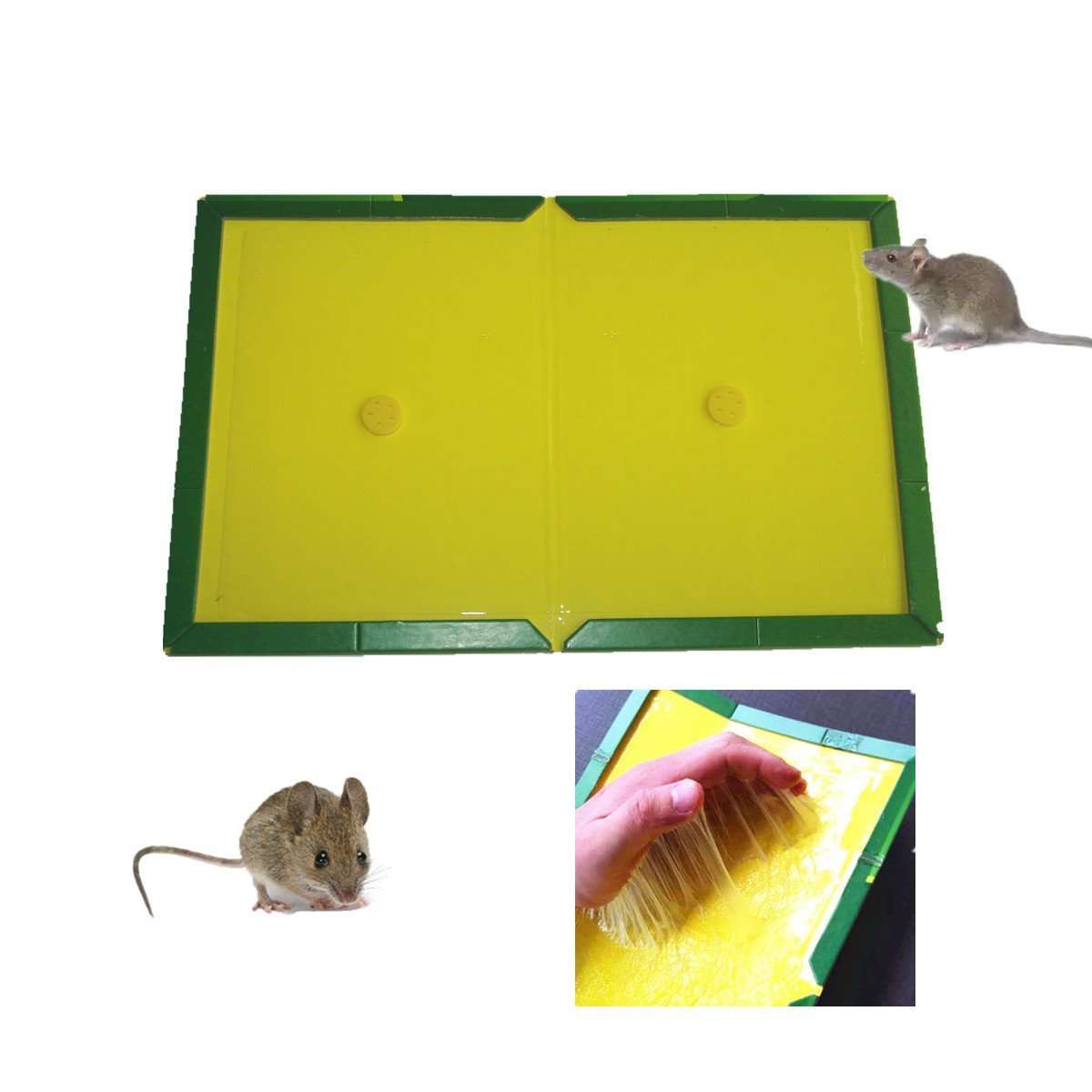 Mouse and Rat Lure Traps