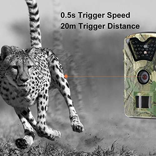 Remote Trail Camera Stealth Hunting Camera 1080P HD Night Vision 66 ft Self-timer Motion Sensor IP6