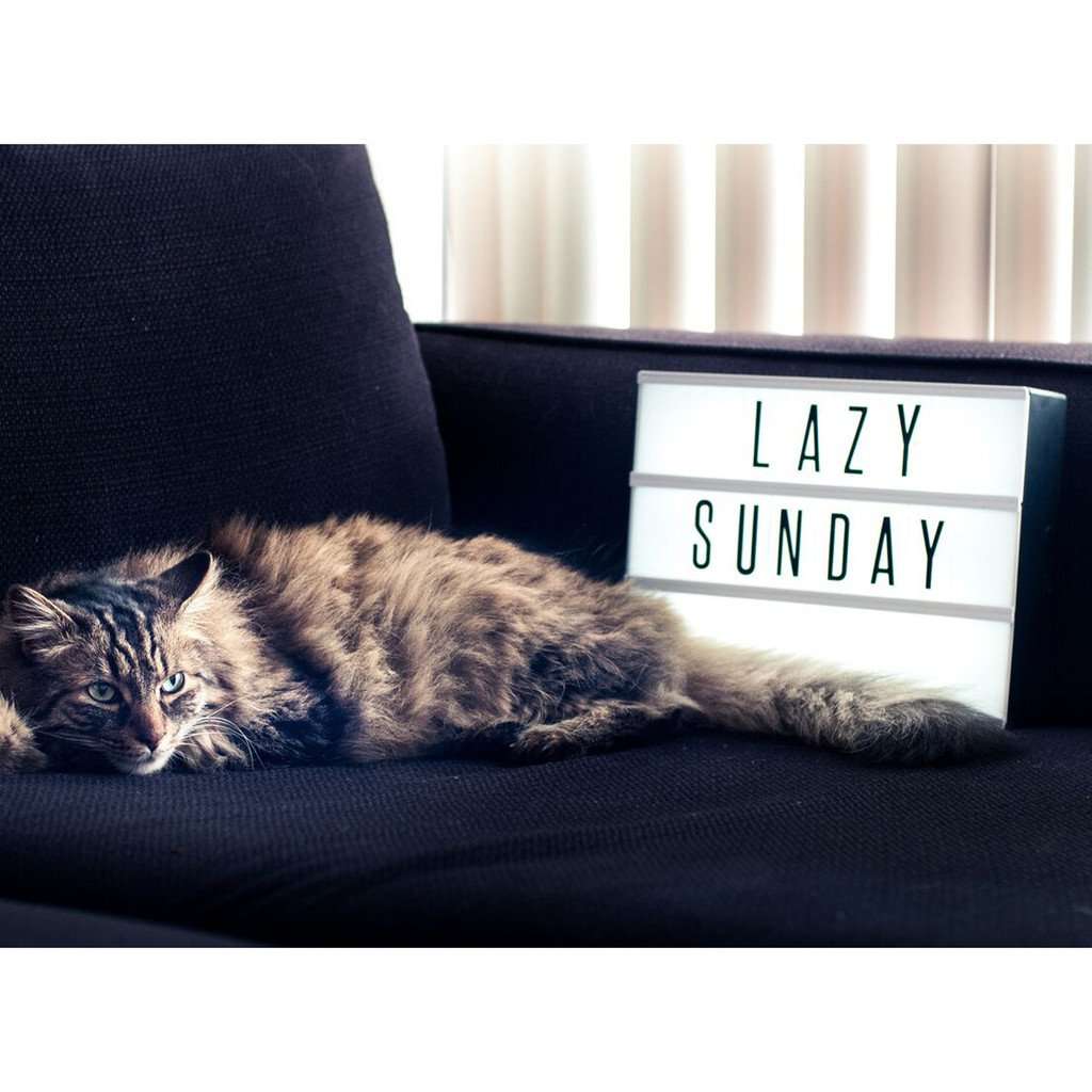 Cinematic (A4) Lightbox Led Changeable Letter & Symbols Tiles  - 85 Pieces