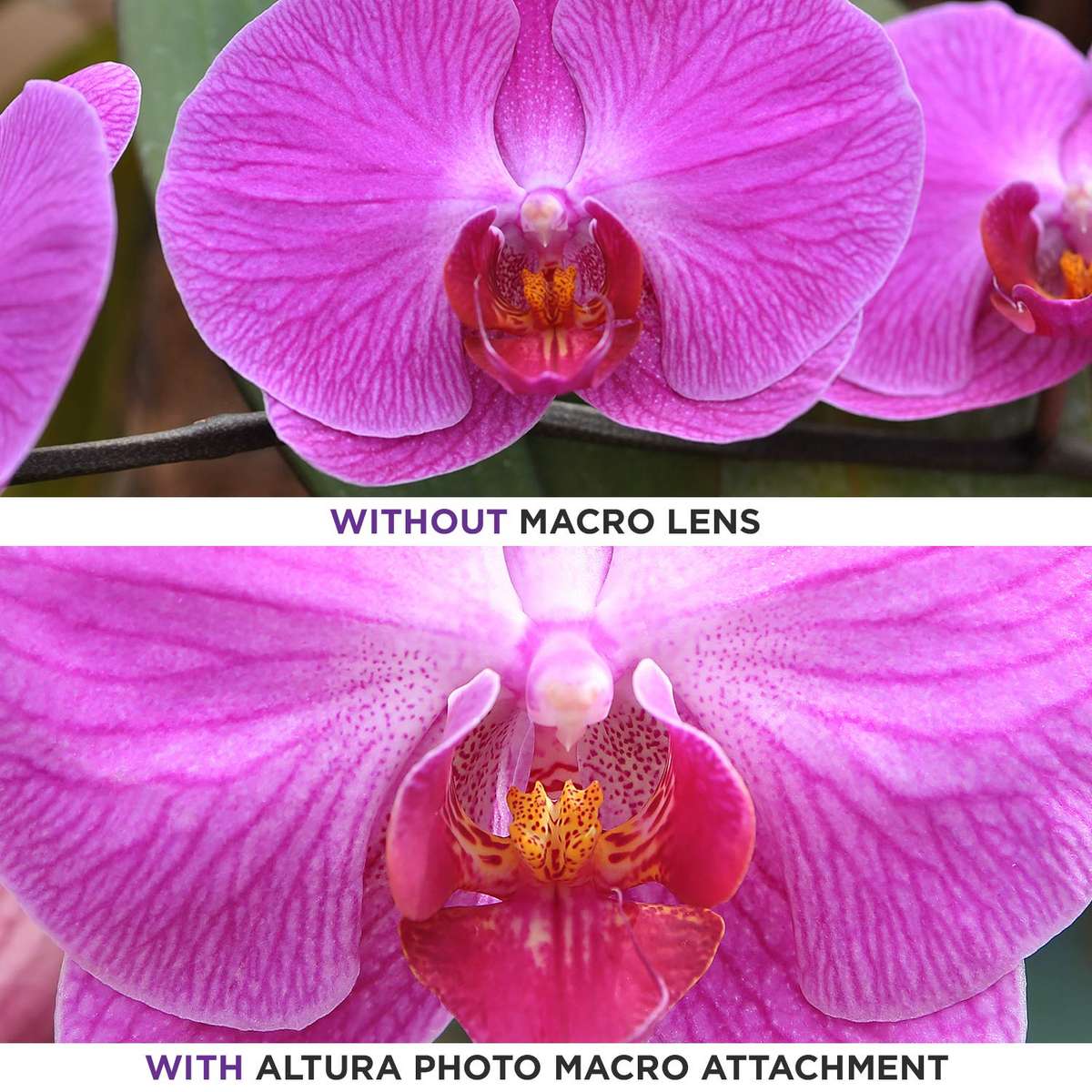 Photo 58MM 0.35x Fisheye Wide Angle Lens with Macro Close-Up Portion