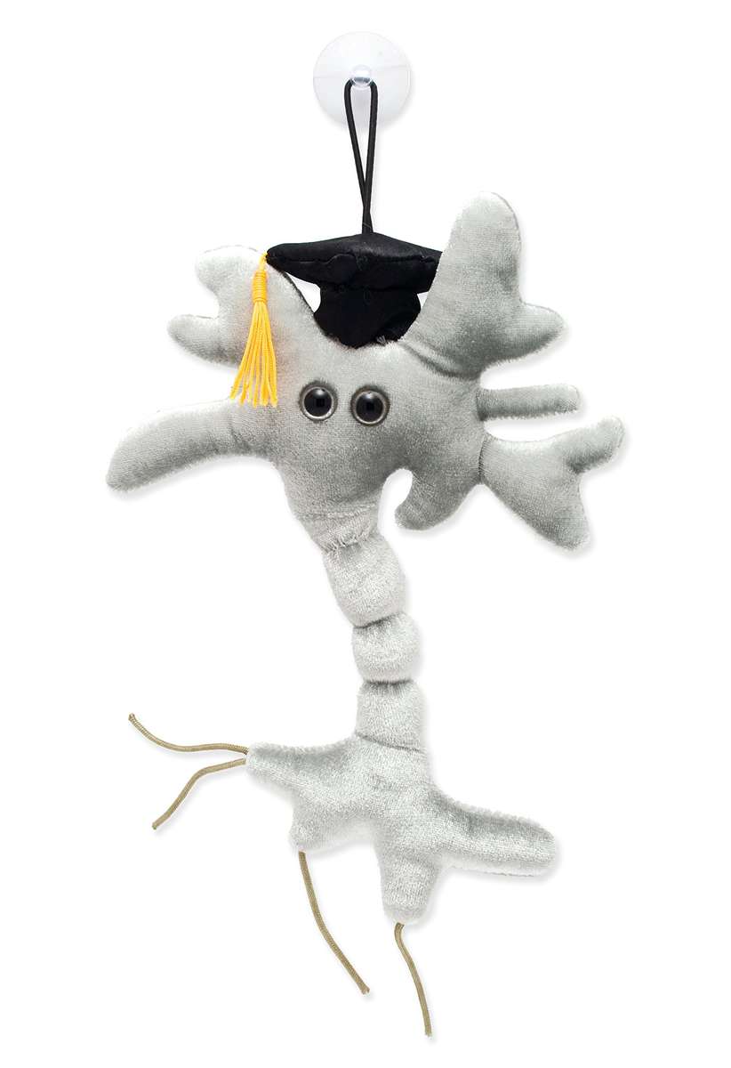 Giant Microbes Brain Cell Science Kit Graduation Edition