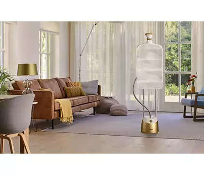 Philips EasyTouch Plus Garment Steamer (Gold)