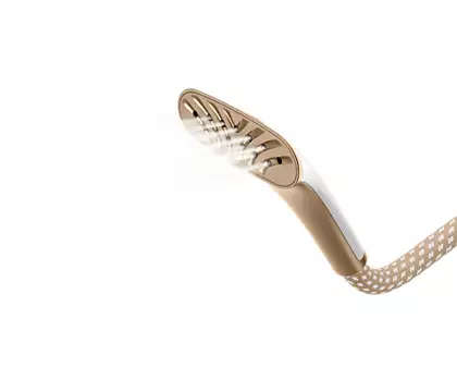 Philips EasyTouch Plus Garment Steamer (Gold)