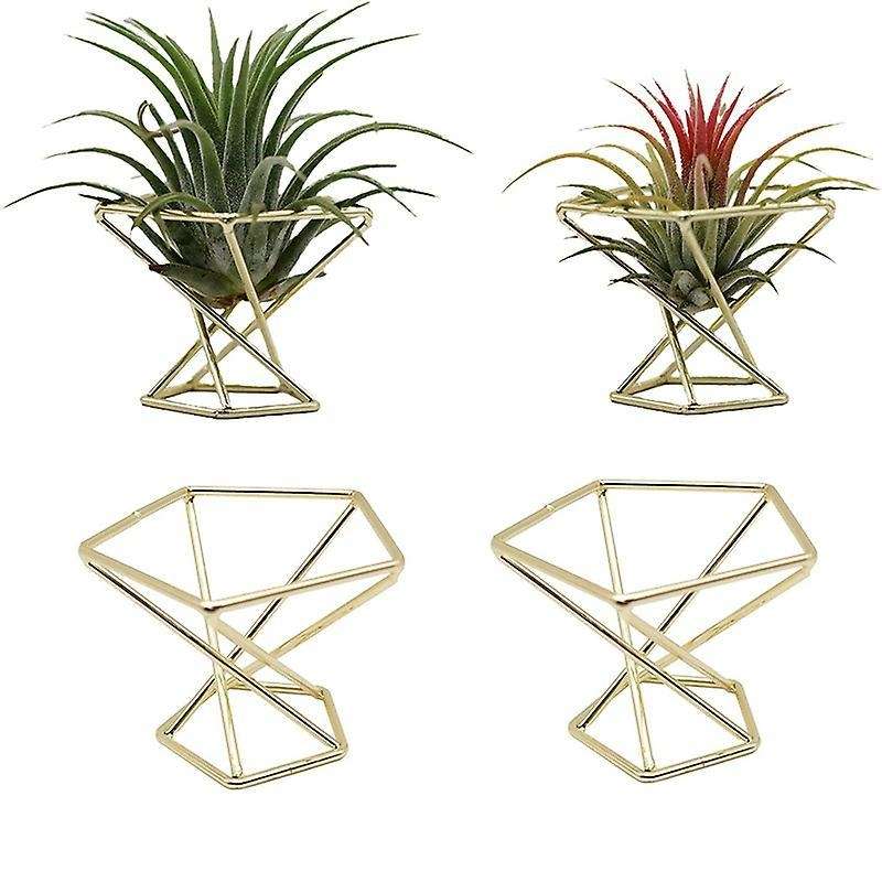 4 Pcs Geometric Air Plant Holder Airplants Rack Metal Plants Stand