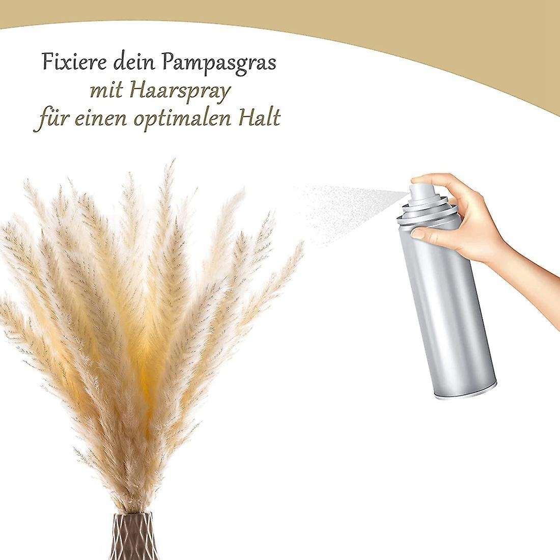 30pcs Pampas Grass Dried Modern Wall Decoration for The Living Room