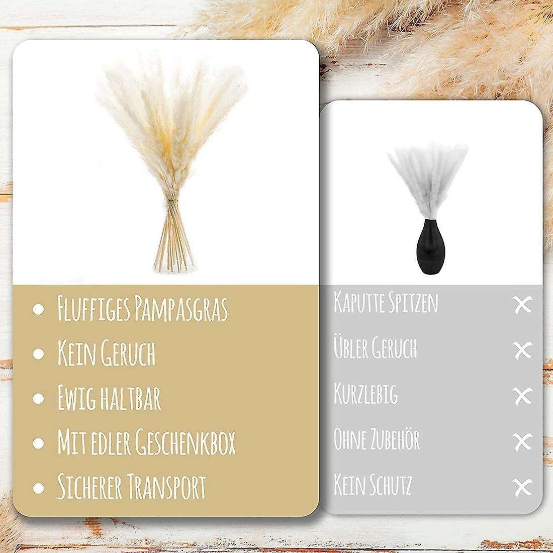 30pcs Pampas Grass Dried Modern Wall Decoration for The Living Room