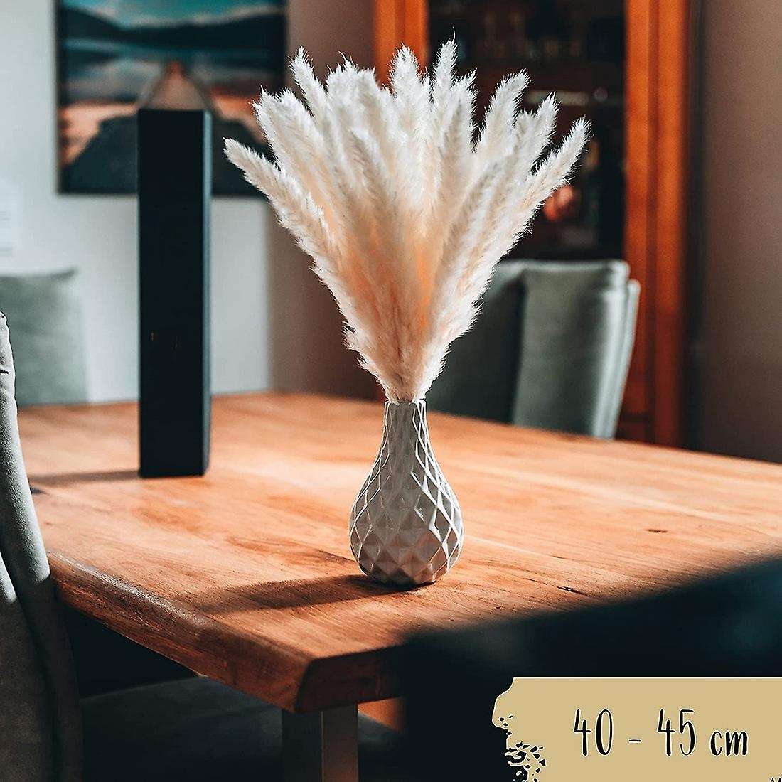 30pcs Pampas Grass Dried Modern Wall Decoration for The Living Room