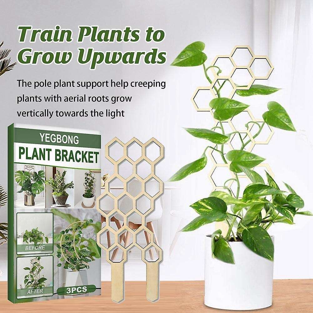 3pcs Climbing Vine Rack Plant Potted Wood Support Frame Rack Pole -3