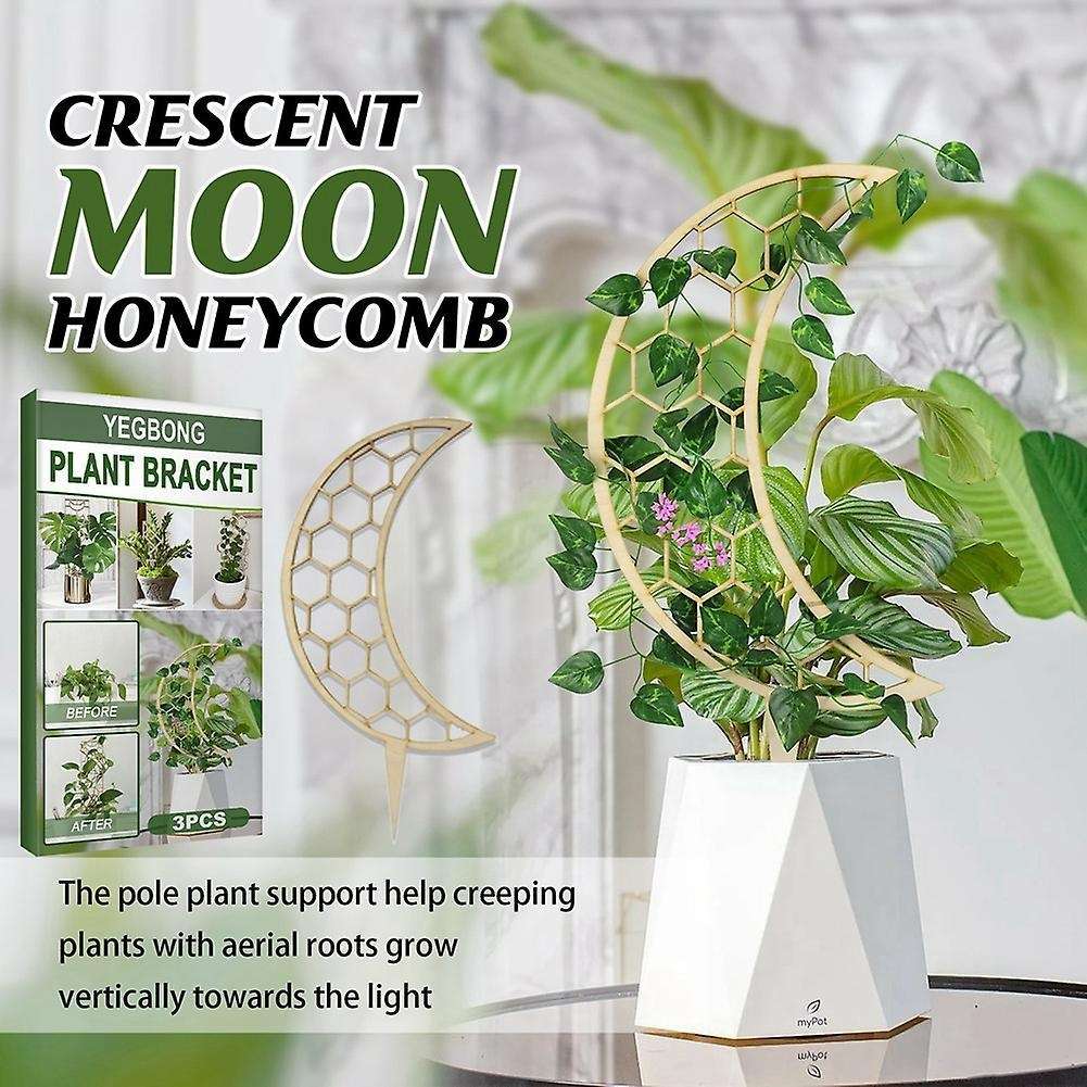 3pcs Climbing Vine Rack Plant Potted Wood Support Frame Rack Pole -3