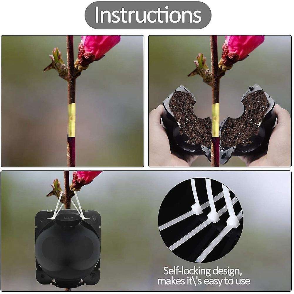 Plant Root Planting Box Grafting Equipment,plant Root Equipment Ball