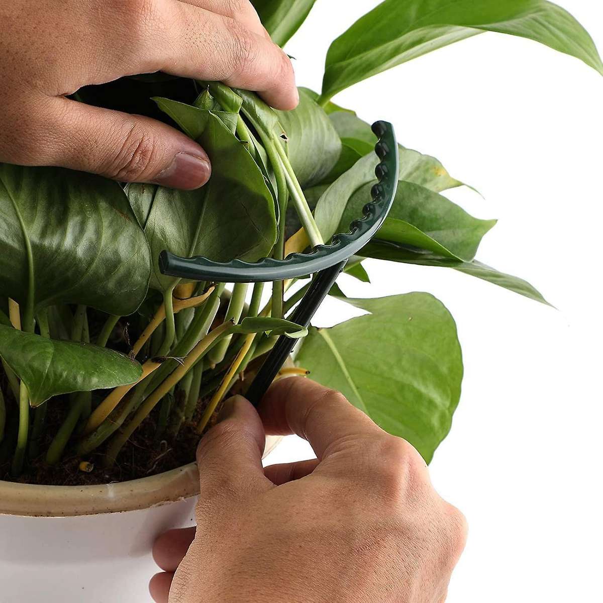 12 Pcs Small Plant Support Stakes,garden Green Plant Support Ring