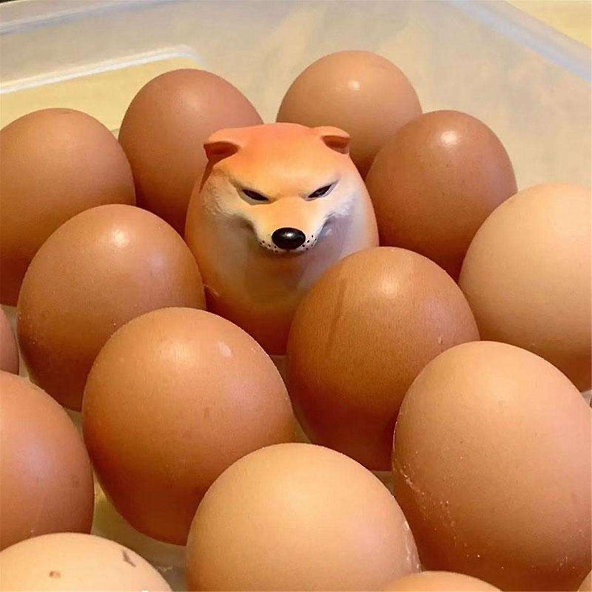 10x Egg Dog Shiba Inu Realistic Egg Shape Desk Decor Dog & Egg Union Decoration for Home Offices Fun