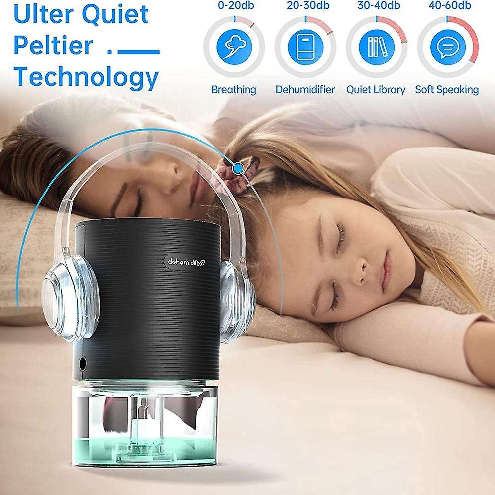 Dehumidifier for Damp Portable and Ultra Quiet Small Dehumidifier with Visual Water Tank for Basemen