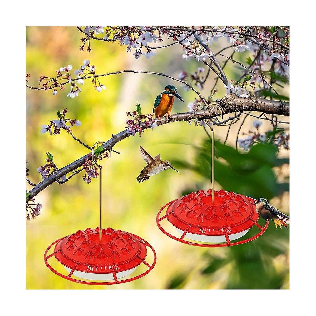 Feeders for Outdoors Hanging Ant and Bee Proof, 30 Feeder Ports,easy to Clean, Bird Feeders for Out