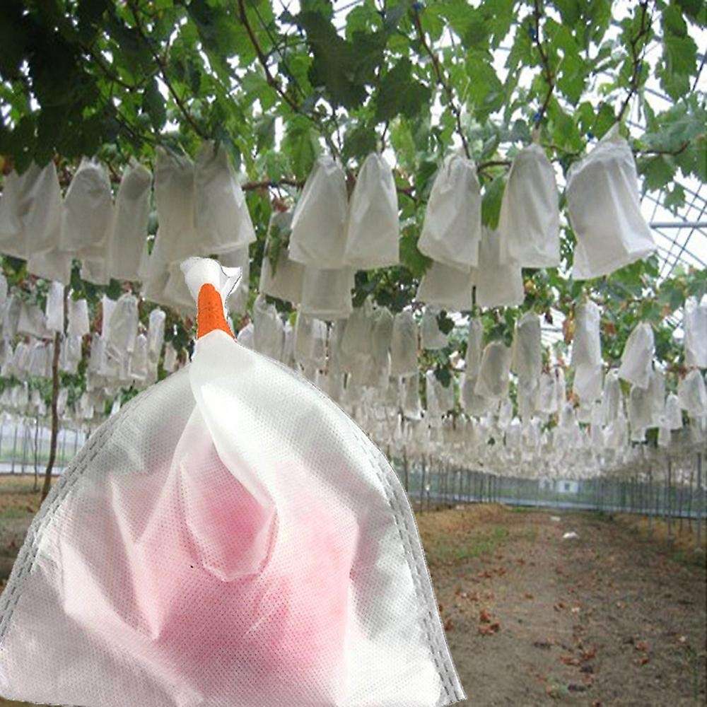100pcs Grape Protection Bags Agricultural Against Insect Pouch