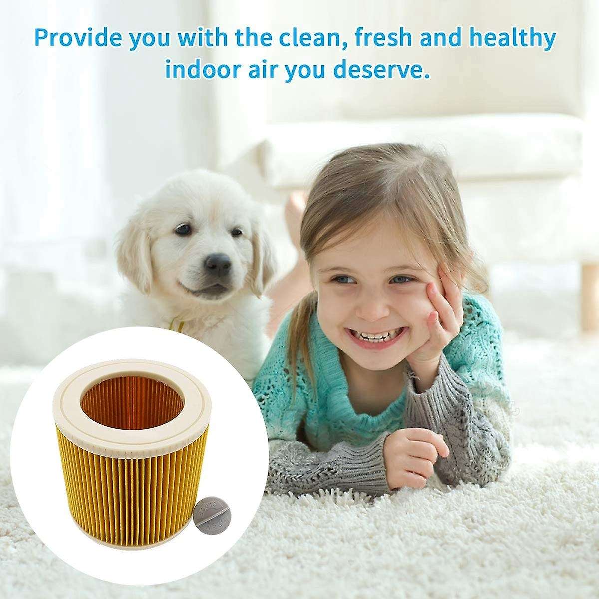 2pcs Replacement Hepa Filter for Karcher Wd2.200 Wd3.500