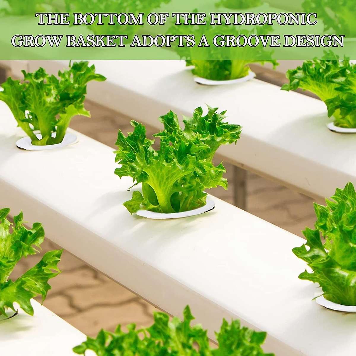 50 Pieces Grow Baskets 50 Pieces Labels for Seed Starting System