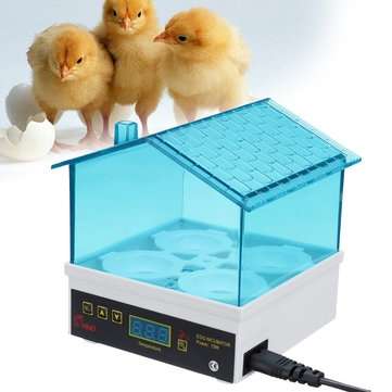 220V Auto Poultry Incubator 4 Egg Incubator Capacity Turning Hatcher Temperature Controls
