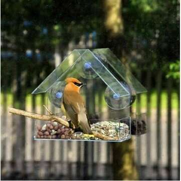 New Window Bird Feeder Glass Clear Viewing Hanging Suction Seed Peanut Fatball Tool