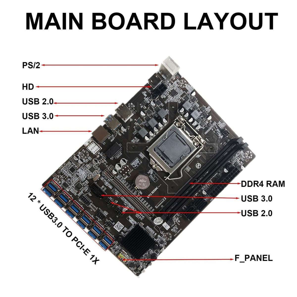 B250c Btc Mining Motherboard with G3900 Cpu+sata Cable for Btc