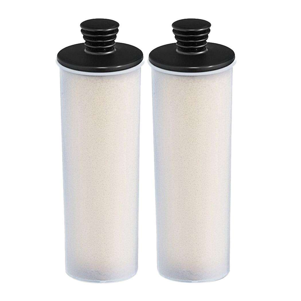 2pcs Cleaner Descaling Stick for Sc3 Series 3 Easyfix/sc3mx/sc3 127v Br Descaling Filter