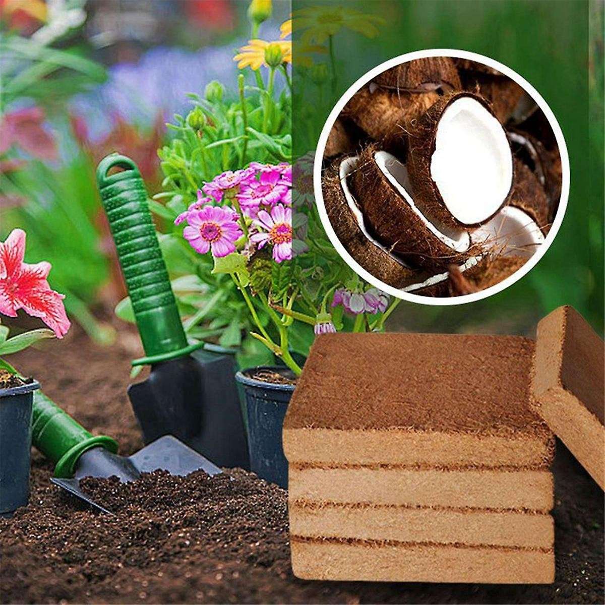 2Pcs Coir Pellet Soil Coconut Fiber Coir Pellet Nutrient Soil Plant Compressed Base Coir Pellet Soil