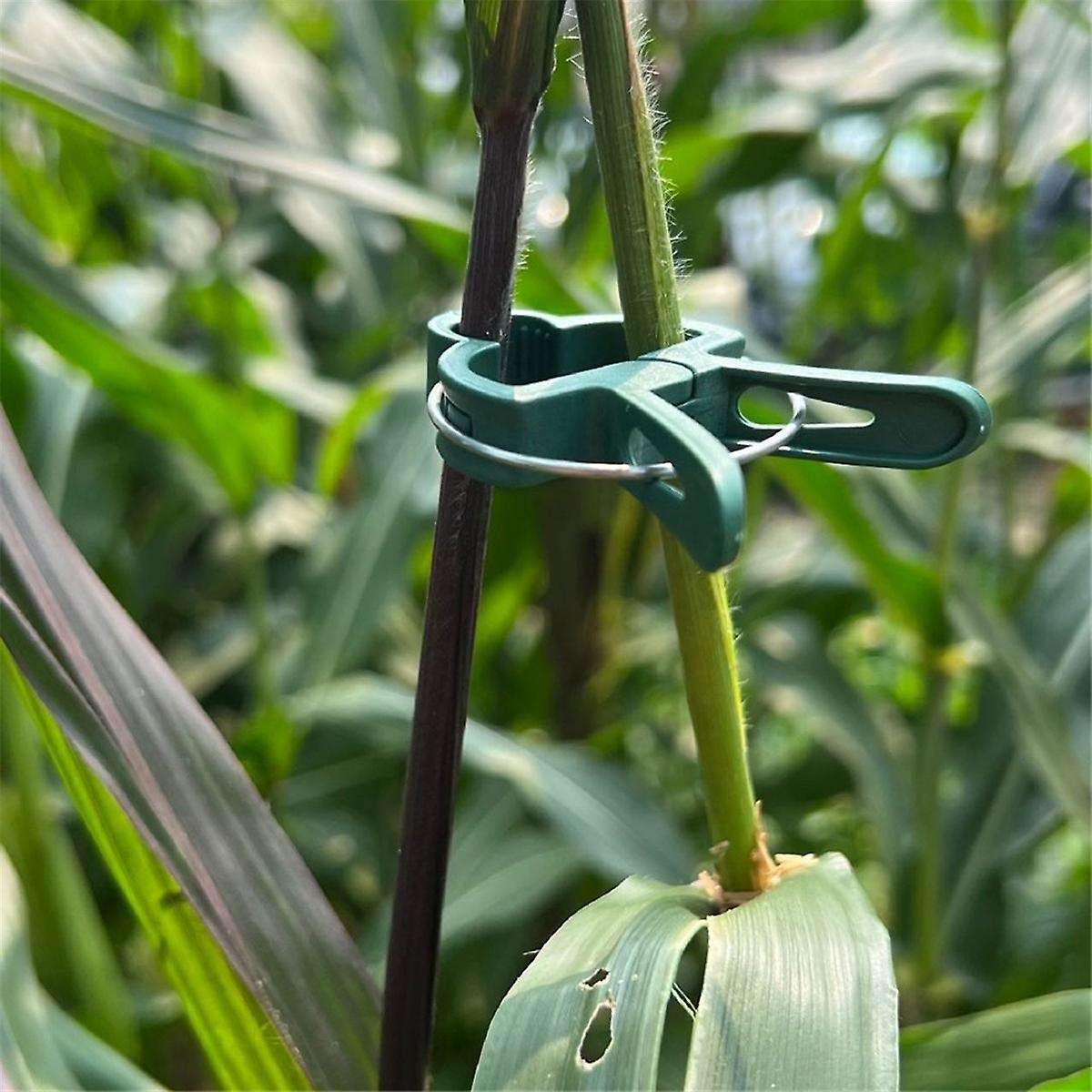 Large Botanical Garden Clip Set Plastic Clips for and Other Plants