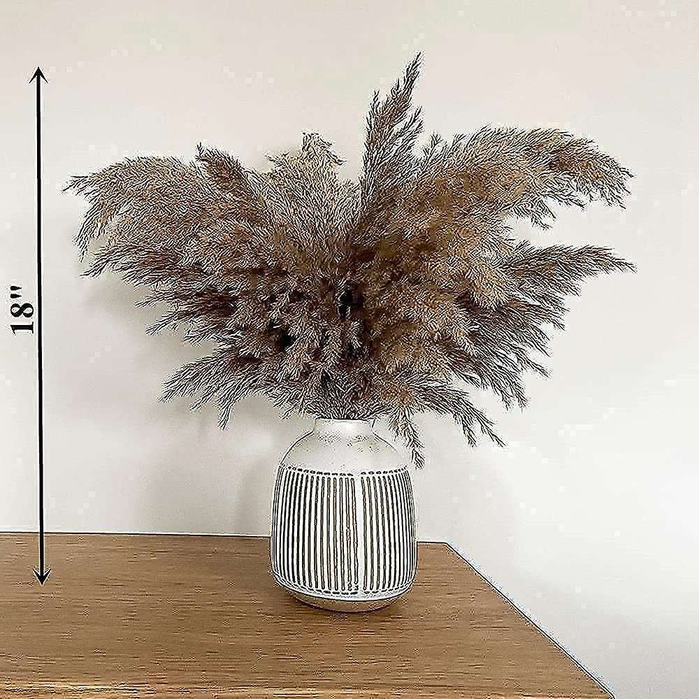 17.72inch Dried Pampas Floral Decor Fluffy Pampas Grass 30 Stems