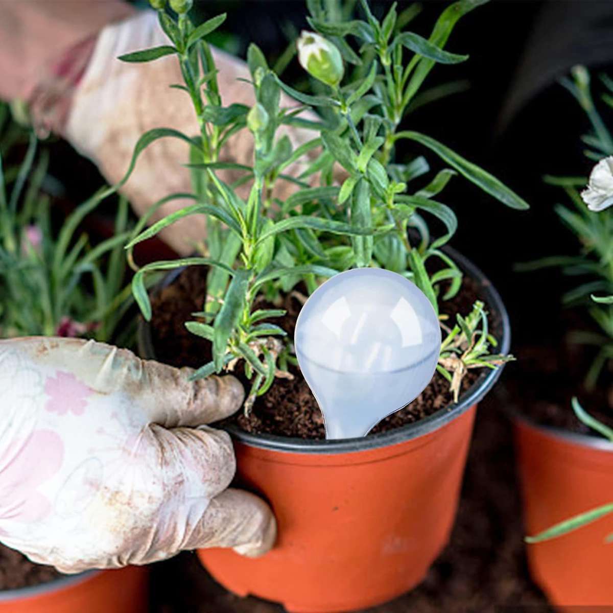 16pcs Plant Watering Globes,automatic Watering Device for Plants