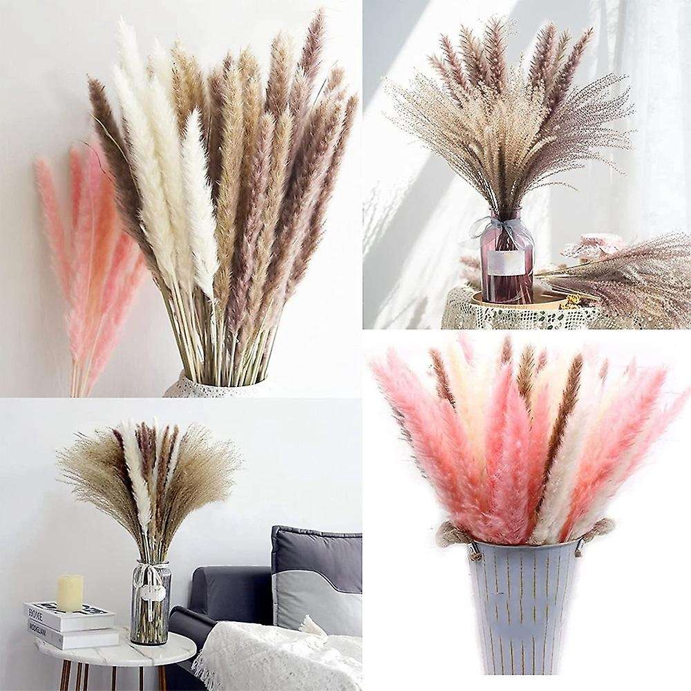 60pcs Natural Dried Pampas Grass Ornament,for Home Boho Wedding Party