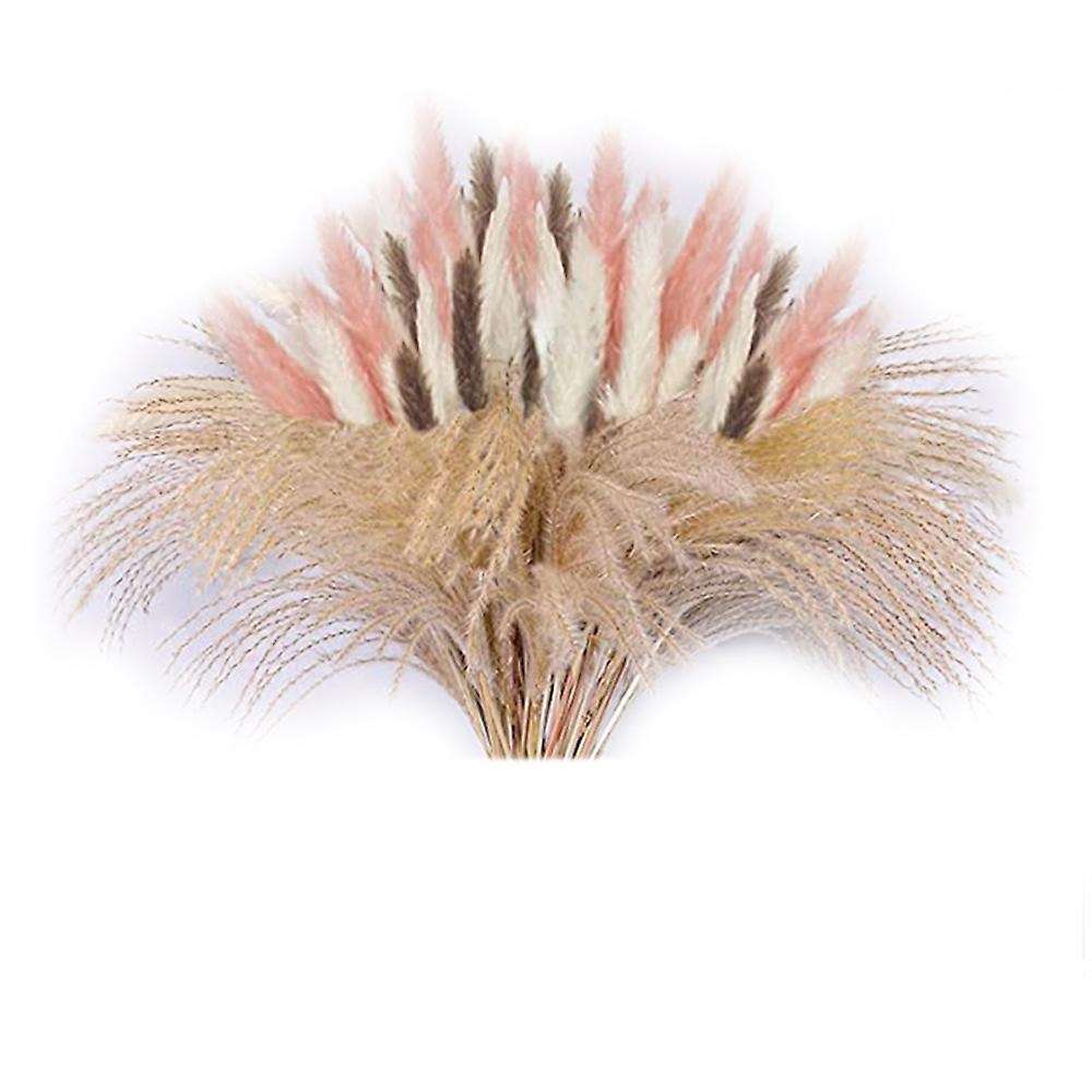 60pcs Natural Dried Pampas Grass Ornament,for Home Boho Wedding Party