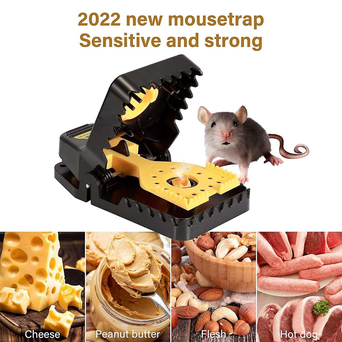 Mouse Trap, Professional Mouse Traps, Reusable Mouse Trap
