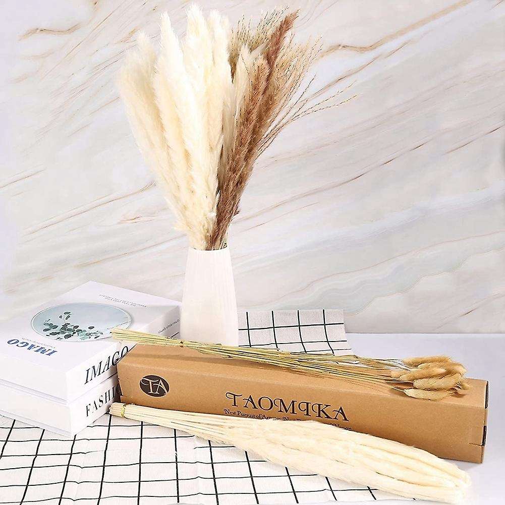 Pampas Grass Decoration Dried Flowers,hay Bouquet Set,pampas Grass